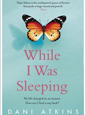 While I Was Sleeping by Dani&nbsp;Atkins