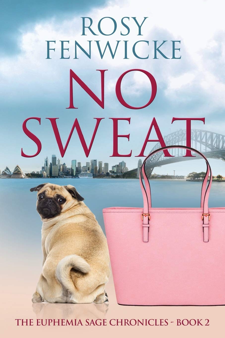 No Sweat by Rosy Fenwicke #womensfiction #amreading&nbsp;#twisty